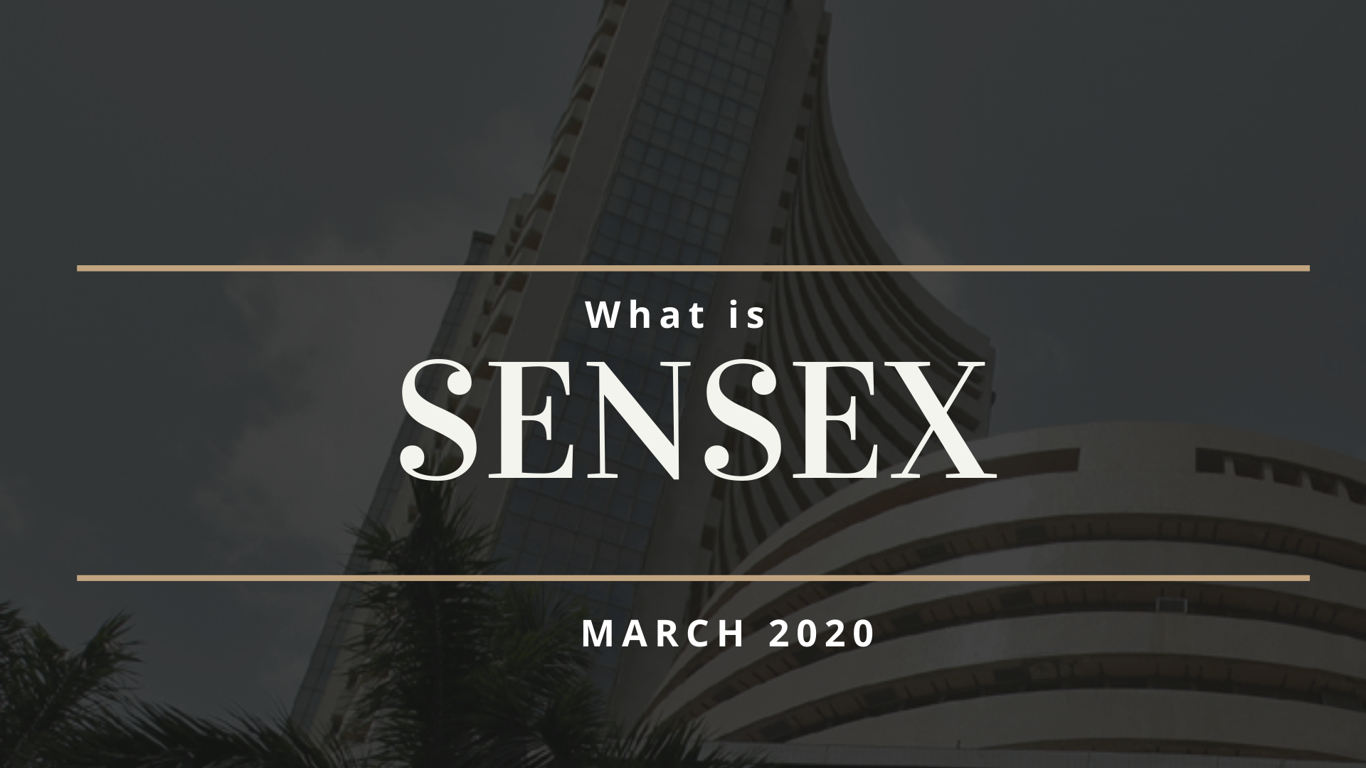 Sensex (3)